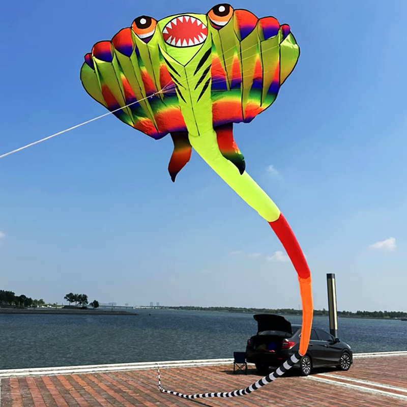 3D 12.5M 2-color Ray Soft Kite - Outdoor Power Reel 评论和价格