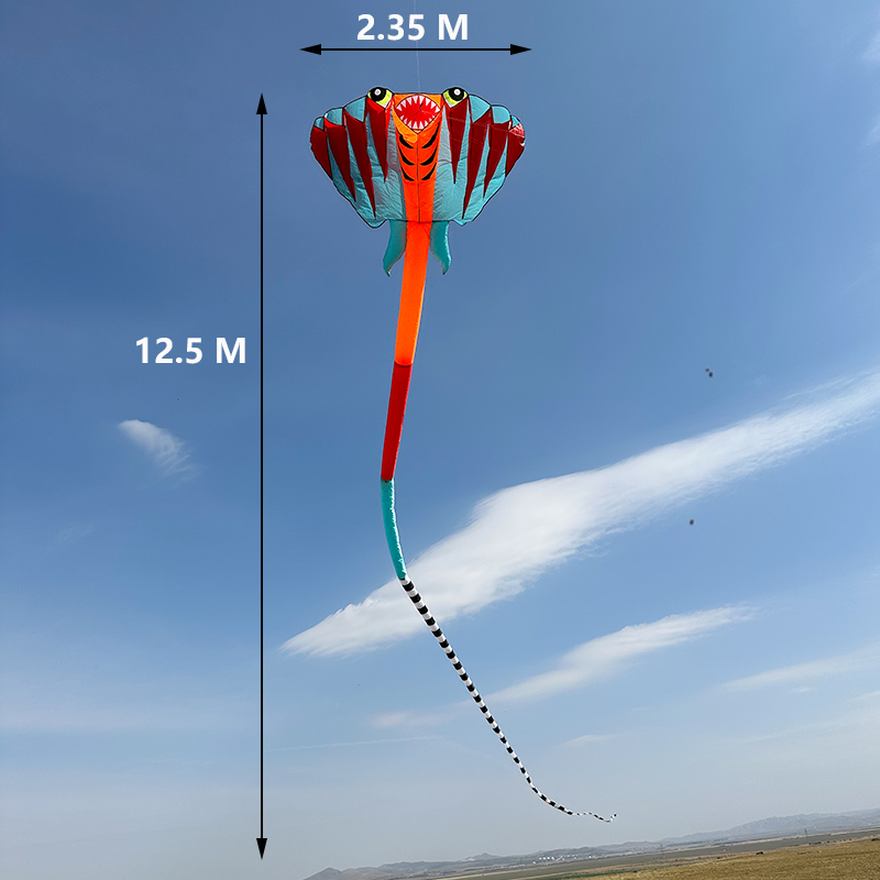 3D 12.5M 2-color Ray Soft Kite - Outdoor Power Reel 评论和价格