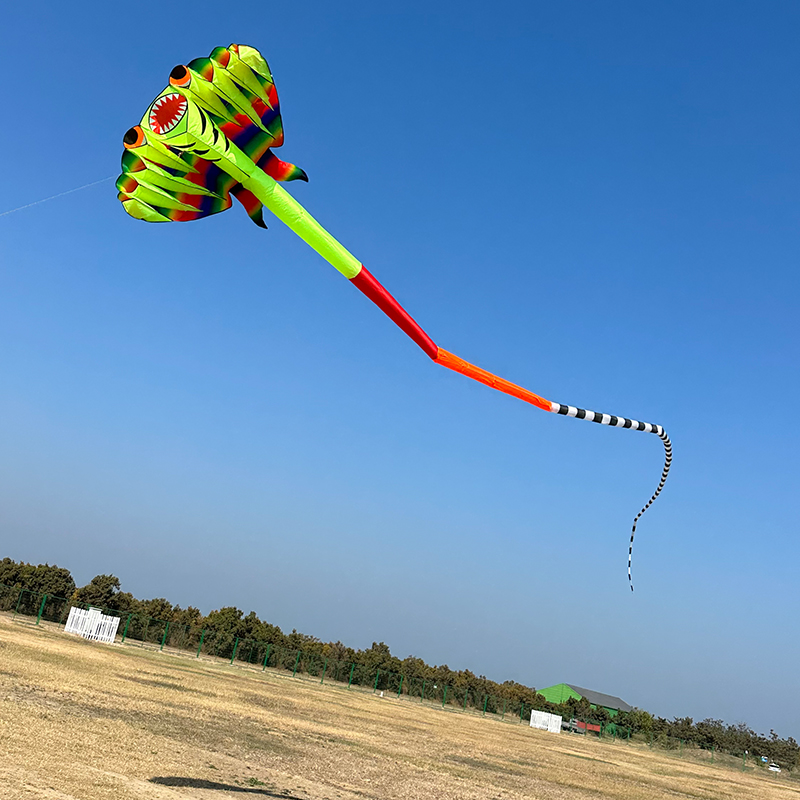 3D 12.5M 2-color Ray Soft Kite - Outdoor Power Reel 评论和价格